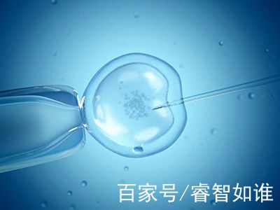 培养箱